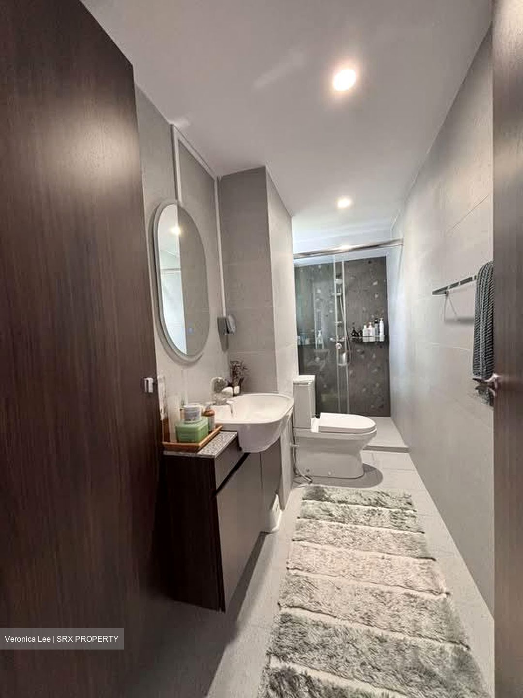 Holland Tower (D10), Apartment #536669641